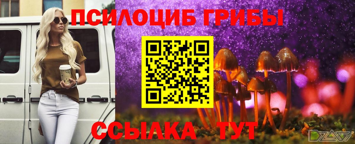 Галлюциногенные грибы мухоморы Скопин